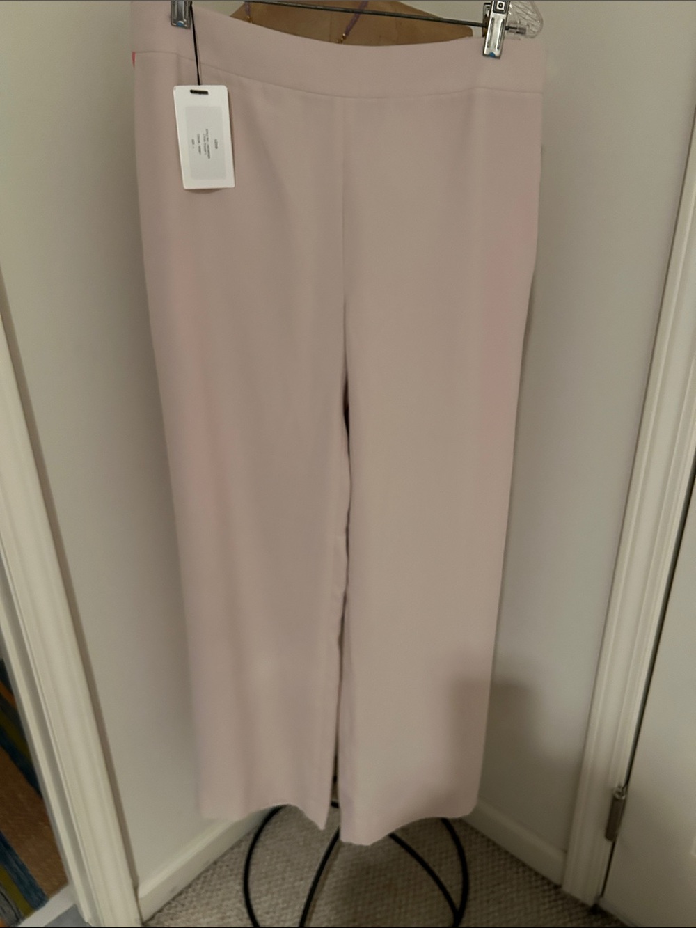 Leah Light Blush Wide-Leg Dress Sise Zip Pants — Women's